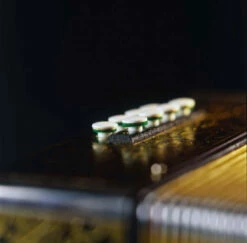 Hohner 2915 G/C Vienna 2-Row Diatonic Button Accordion, 21 Treble/8 Bass Buttons, Mm Reeds, Black & Gold, With Straps (15-A3405s) -Hohner shop hohner gal vienna model 2915 03 500x492 35223.1655371873