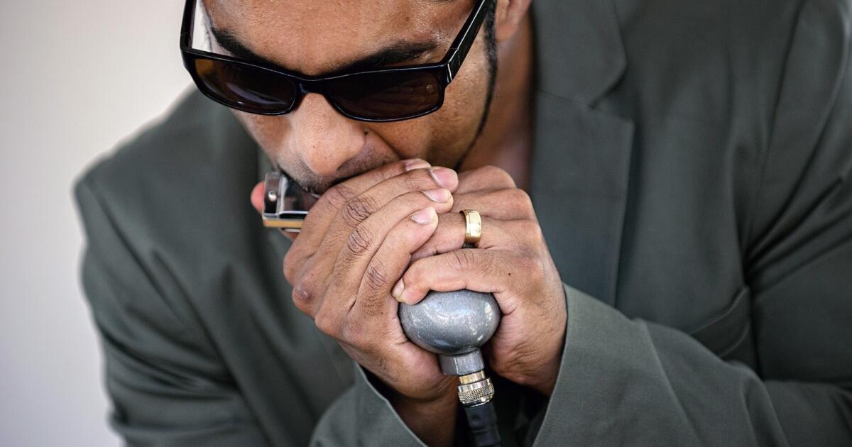 Hohner shop -Hohner shop 萨达